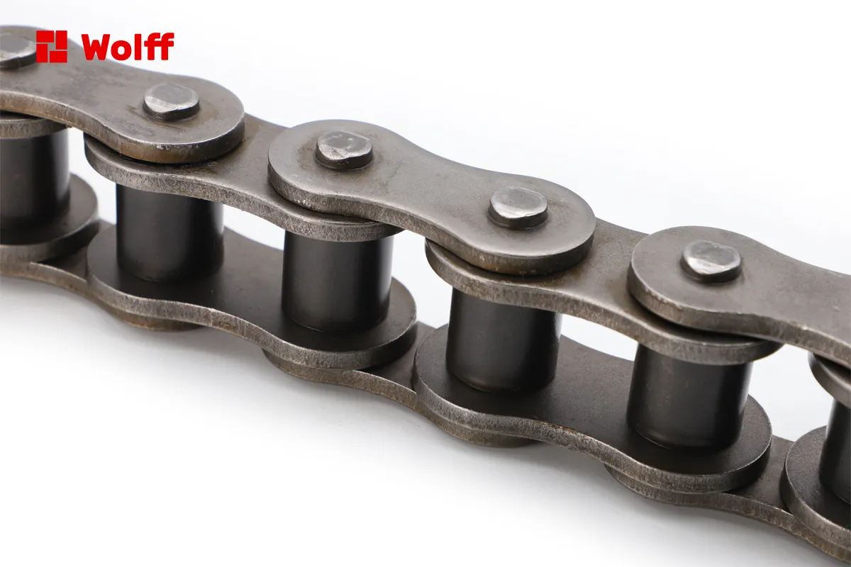 Single Strand Heavy Chains Single Strand Heavy Chains